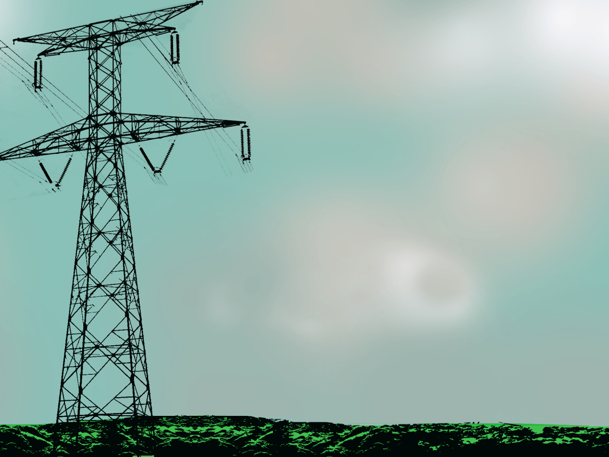 Limogeseko prozesua: Bizidunen eskubideen aldeko&nbsp;deia